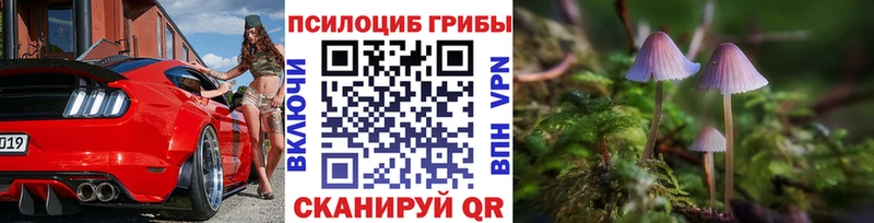Псилоцибиновые грибы Psilocybine cubensis  MEGA   Лодейное Поле 